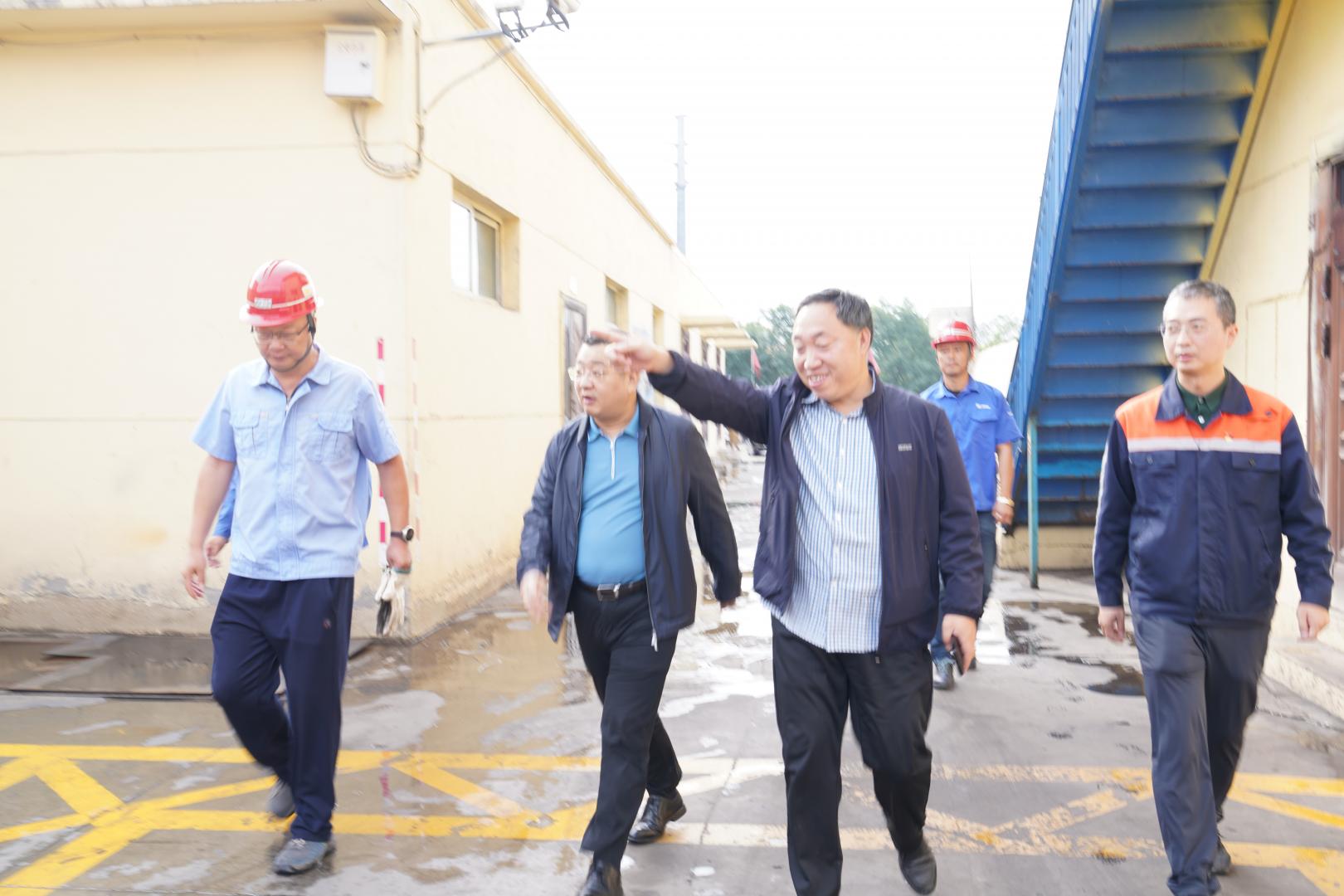 公开信息按发布时间滚动